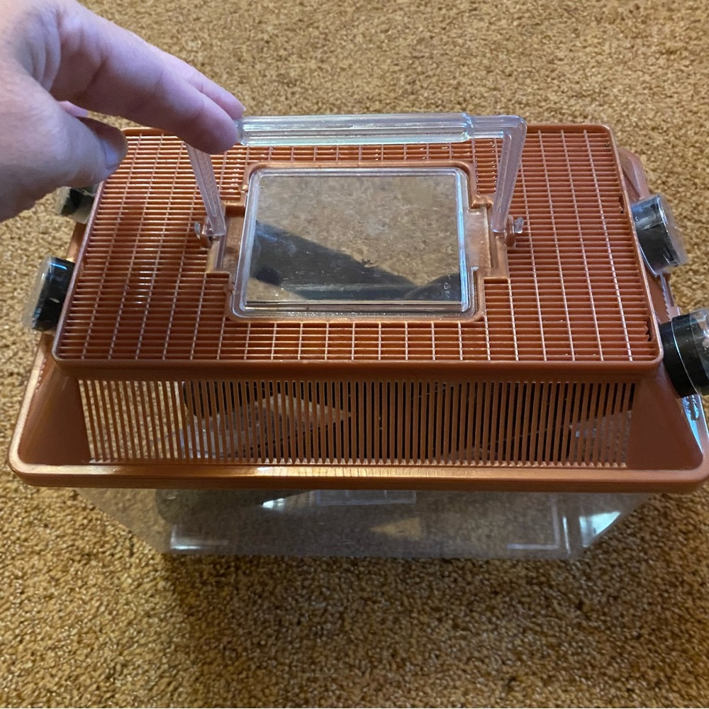 🐕‍🦺3 for $20 - ❤️‍🩹Host Pick - Cricket Cage